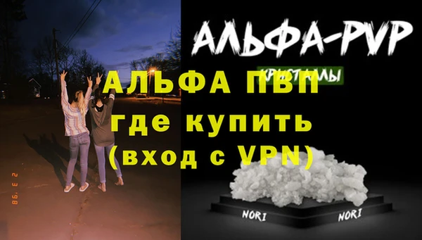 прущие грибы Дмитриев