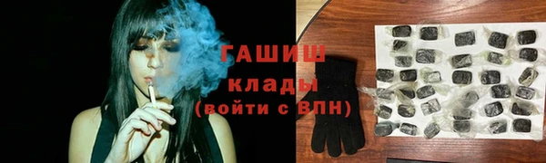 прущие грибы Дмитриев