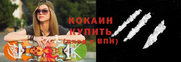 прущие грибы Дмитриев