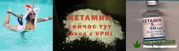 прущие грибы Дмитриев