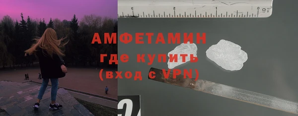 прущие грибы Дмитриев