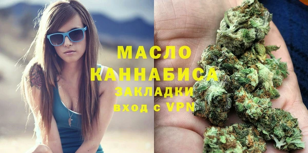 прущие грибы Дмитриев