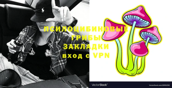 прущие грибы Дмитриев