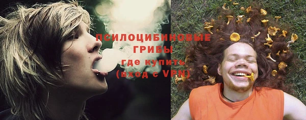 прущие грибы Дмитриев