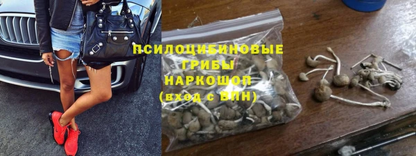 прущие грибы Дмитриев
