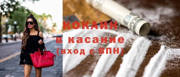 прущие грибы Дмитриев